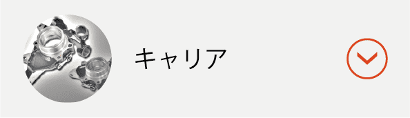 キャリアボタン